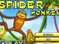 Örümcek Maymun Oyunu